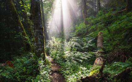 taustakuva pariterapia