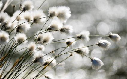 taustakuva yksilöterapia